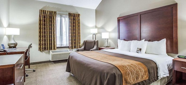 Comfort Inn Suites Market Center Dallas